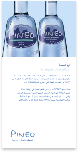 PINEO · Arabic · Flyer · Multilingual typesetting