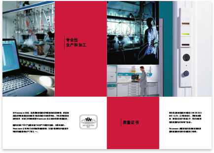 Wesemann International · Chinese · Brochure · Translation and multilingual typesetting